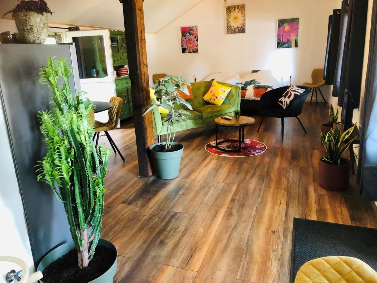 Bed and Breakfast B &B Yuupke Maasbree Noord-Limburg Venlo Roermond Exterior foto