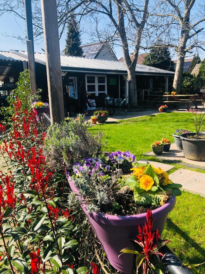 Bed and Breakfast B &B Yuupke Maasbree Noord-Limburg Venlo Roermond Exterior foto