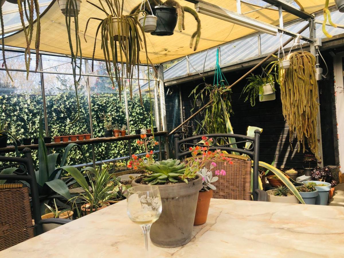Bed and Breakfast B &B Yuupke Maasbree Noord-Limburg Venlo Roermond Exterior foto