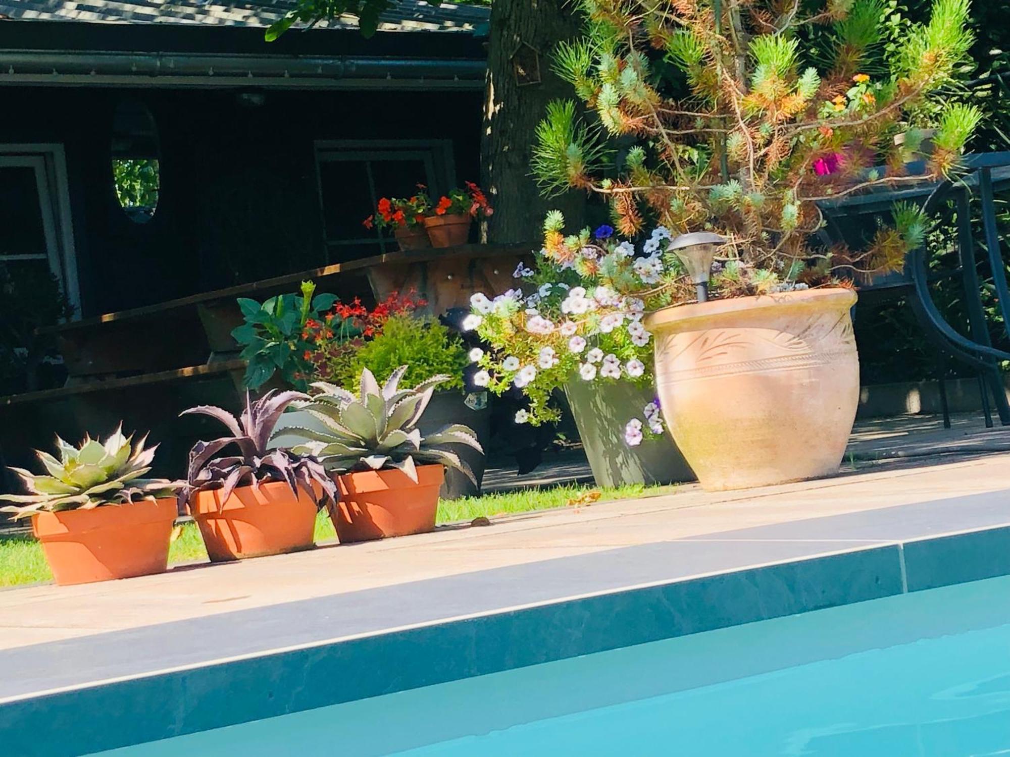 Bed and Breakfast B &B Yuupke Maasbree Noord-Limburg Venlo Roermond Exterior foto