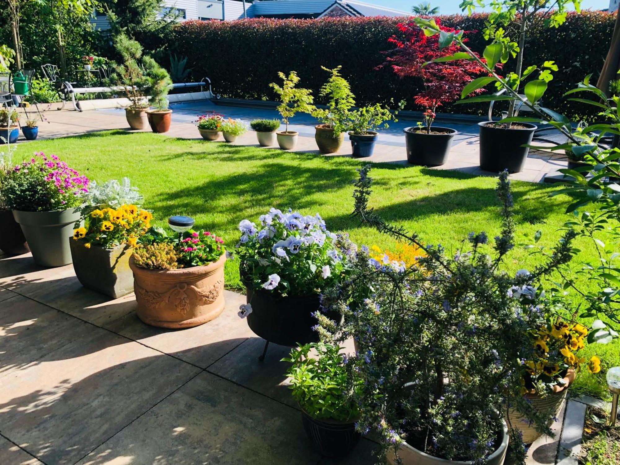 Bed and Breakfast B &B Yuupke Maasbree Noord-Limburg Venlo Roermond Exterior foto